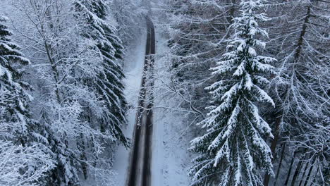 Aerial-backward-flight-above-partially-cleaned-road-through-the-snowy-winter-forest