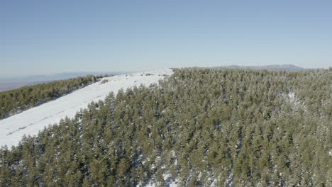 Panorama-across-snow-filled-mountains-full-of-beautiful-green-pine-trees-and-blue-sky
