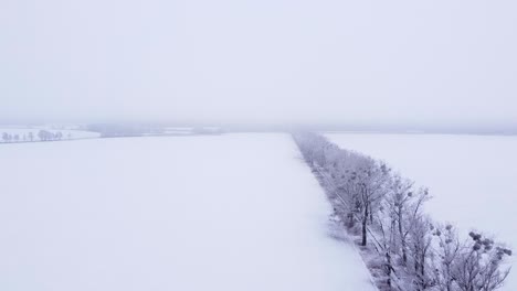Flying-along-an-avenue-of-poplars-running-through-snow-covered-farmland