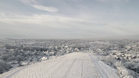 Cross-Standing-On-Snowy-Hill-Overlooking-Vast-Vineyard-Landscape-During-Winter-In-Offenburg,-Germany