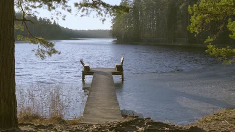 Vacant-wooden-benches-at-end-of-wooden-pier-beside-calm-beautiful-lake-amidst-tall-coniferous-trees