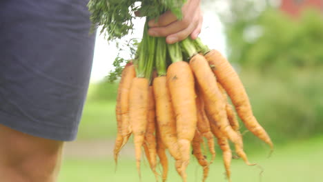 Hands-holding-orange-carrots-while-walking-forward-at-farmers-hay-market-selling-root-fruits-vegan-vegetarian-plant-based-food-eating-healthy-active-melon-salad-fresh-potato-bunny-European-summer-sun