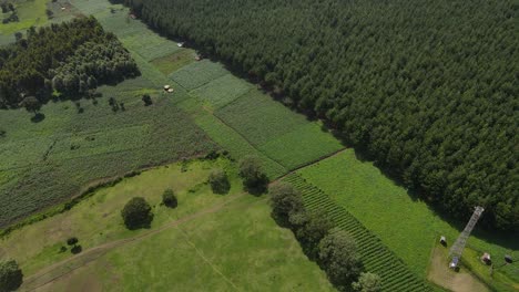 Parcelas-Verdes-De-Bosques-Y-Tierras-De-Cultivo-En-El-Sur-De-Kenia-En-Toma-Aérea