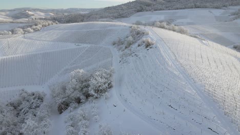 Aerial-Flying-Above-Snowy-Vineyard-Rolling-Hills-Landscape-In-Zell-Weierbach,-Offenburg,-Germany---Aerial-Drone-Shot