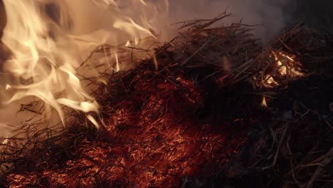 Hay-straw-being-burned-in-a-large-fire-at-night,-static-close-up