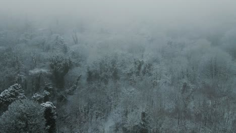 Rising-aerial-view-of-snowy-forest-in-misty-conditions