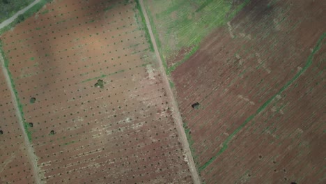 Top-down-view-of-farmland-arable-soil-in-South-Kenya,-Africa