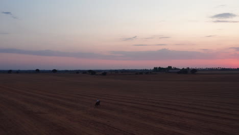 Aerial-circling-shot-of-horsewoman-riding-horse-in-full-speed-on-harvested-field-after-sunset-in-evening