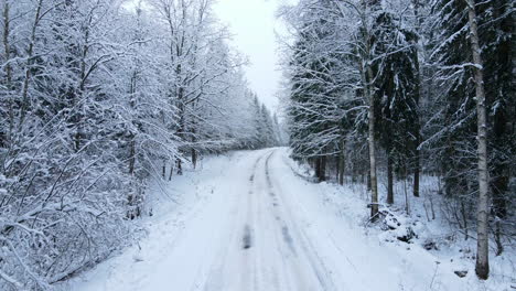 Zurück-Antenne-Im-Winterwald-Nahaufnahme-Weißer-Wald-Mit-Schneebedeckten-Bäumen