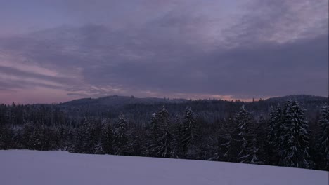 Schöner-Winterlicher-Zeitraffer-Des-Schneebedeckten-Kiefernwaldes