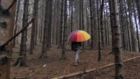 young-female-walks-in-dark-and-moody-forest-with-colourful-umbrella-on-rainy-day