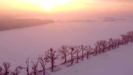 Sonnenaufgang-über-Einer-Friedlichen,-Mit-Unberührtem-Schnee-Bedeckten-Landschaft