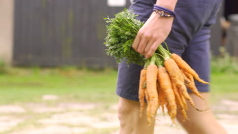 Close-up-of-hands-holding-group-of-carrots-at-farmers-hay-market-walking-on-stone-pavement-ground-at-farm-barn-feeding-carrot-cute-bunny-bunnies-vegan-vegetarian-cooking-healthy-delicious-nutritious