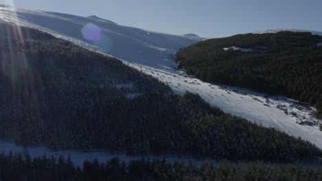 Schöne-Schneebedeckte-Bergszene-Mit-Kameraaufflackern,-Kiefern-Und-Blauem-Himmel