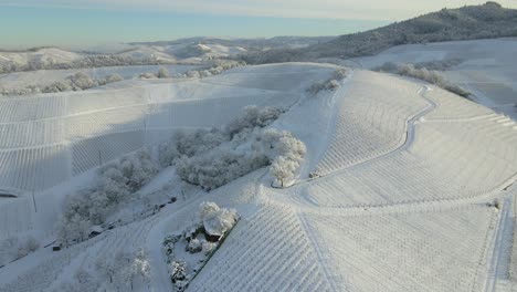 Panorama-Of-Snowscape-Vineyards-In-The-Black-Forest-Near-Offenburg,-Germany