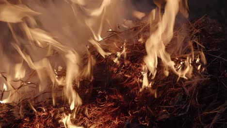 Straw,-hay-being-burned-in-a-fire-at-night,-static-medium-shot