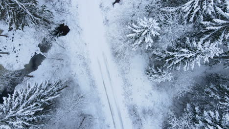 Top-down-aerial-snowy-road-inside-forest-during-winter,-trees-covered-by-snow-and-white-road-with-tyre-tracks