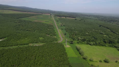 Winding-road-in-forested-area-of-southern-Kenya,-Africa-in-aerial-shot