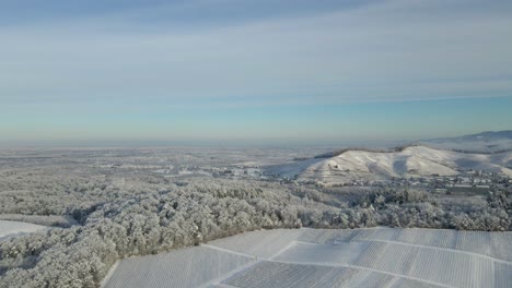 Vista-Aérea-Del-Viñedo-Con-Nieve-En-Invierno-En-Offenburg,-Alemania