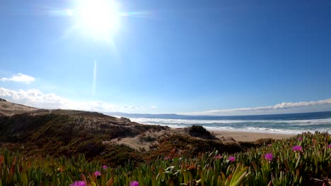 Sunny,-bright,-and-colorful-beach-landscape-on-top-of-sand-dunes-in-Monterey-Bay,-California-