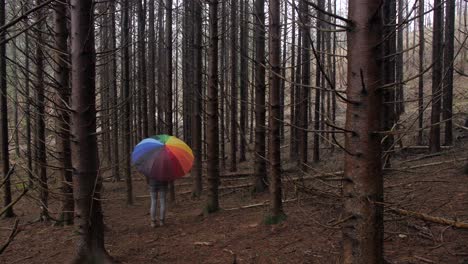 female-stands-alone-in-dark-forest-with-colourful-umbrella,-wide-slow-motion