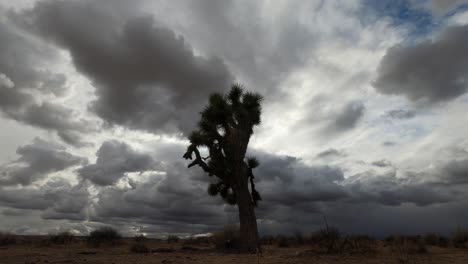Wolkenschichten-Und-Windscherungen-Zeigen-Wolken,-Die-Sich-In-Verschiedene-Richtungen-über-Der-Mojave-Wüste-Und-Einem-Joshua-Tree-Bewegen---Zeitraffer