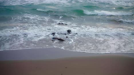 Wellen-Am-Strand-Mit-Vorbeiziehenden-Kleinen-Vögeln
