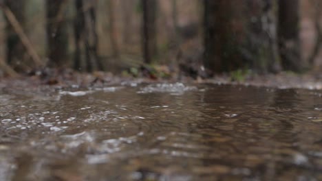 super-slow-motion-of-raindrops-falling-in-small-puddle-in-dark-forest,-closeup