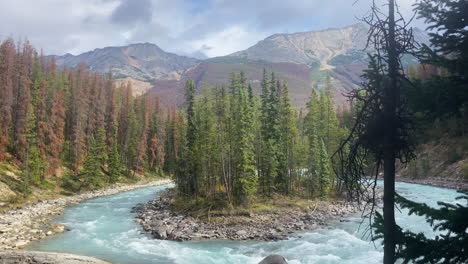 Blue-glacier-water-flowing-off-Sunwapta-Fall-in-Jasper-National-Park