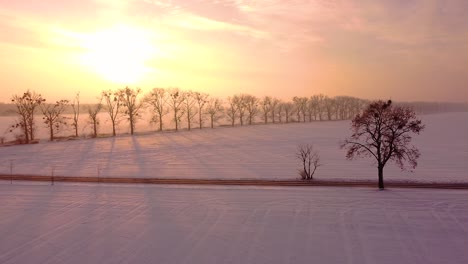 Snow-covered-field,-local-empty-road,-and-line-of-trees-casting-long-shadows,-all-tinged-beautifully-by-rising-sun