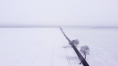 Verträumte-Schneebedeckte-Felder,-Die-Von-Einer-Schwarzen,-Geraden-Straße-Mit-Bäumen-An-Den-Seiten-Durchquert-Werden