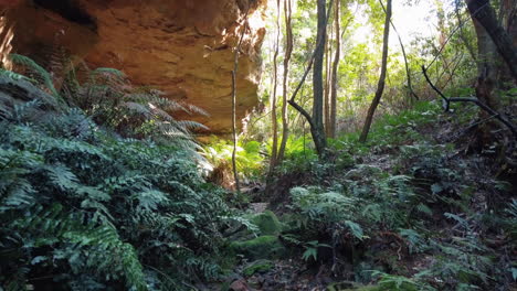 Stream-Flowing-On-Rocks-Deep-In-Forest-In-Blue-Mountains,-NSW,-Australia