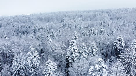 Luftbild-über-Schöne-Winterlandschaft-Bedeckt-Verschneiter-Sonniger-Tag-In-Der-Nähe-Von-Chalet-Des-Enfants,-Waadt,-Schweiz---Drohnenaufnahme