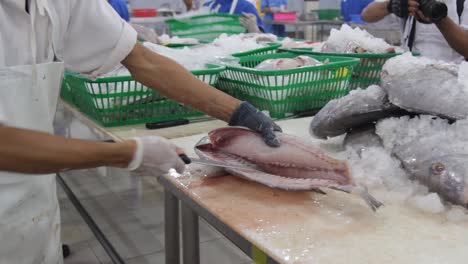 close-up-of-fresh-cut-sea-fish-meat