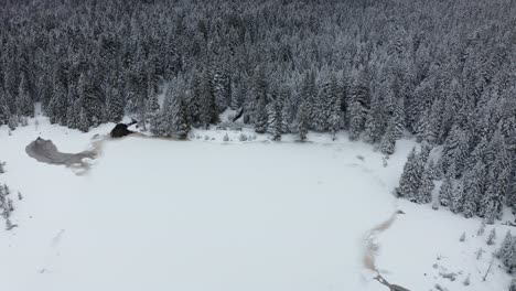 Frozen-lake-in-winter,-woods-covered-in-fresch-snow,-aerial-view,-Crno-jezero,-Black-lake,-Pohorje,-Slovenia
