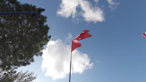 Slow-motion,-tilt-shot,-of-the-national-flag-of-Albania,-with-a-red-field-and-silhouetted-black-double-headed-eagle-in-the-center,-flapping-in-the-breeze