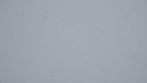 Total-whiteout-during-a-blizzard-in-the-UK-Realtime-footage-natural-light