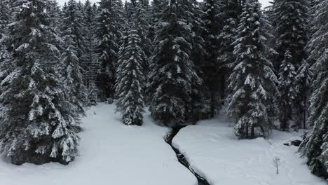 Narrow-stream-through-winter-forest-landscape,-aerial-view-of-snow-covered-forest,-Crno-jezero,-Black-lake,-Pohorje,-Slovenia