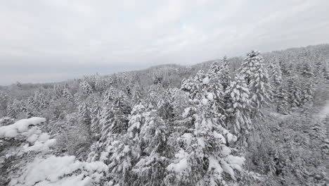 Luftflugansicht-Zwischen-Schneebedeckten-Bäumen-An-Bewölktem-Tag-Im-Jorat-wald,-Kanton-Waadt,-Schweiz---Fpv-drohnenaufnahme