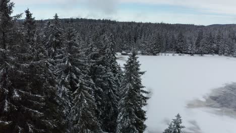 Lago-Congelado-En-Invierno,-Bosques-Cubiertos-De-Nieve-Fresca,-Vista-Aérea,-Crno-Jezero,-Lago-Negro,-Pohorje,-Eslovenia