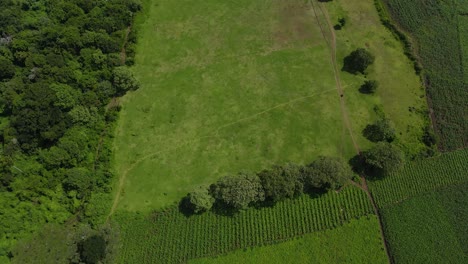 Vista-De-Pájaro-Del-Paisaje-Rural-Africano-Con-Exuberante-Vegetación-Verde,-Campos-Y-Tierras-De-Cultivo---Toma-Aérea-De-Drones