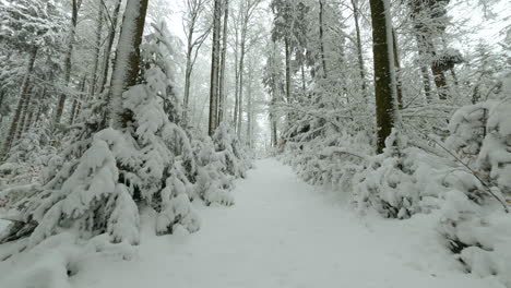 Snowy-Path-Through-Winter-Forest-Overcast-Frosty-Day-In-The-Bois-du-Jorat-Near-Lausanne-City,-Vaud,-Switzerland---Tracking-Forward-Shot