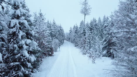 Flyby-Across-Frosted-Country-Road-And-Woods-Against-Overcast-Sky-in-The-Jorat-Woods-In-Canton-Of-Vaud,-Switzerland