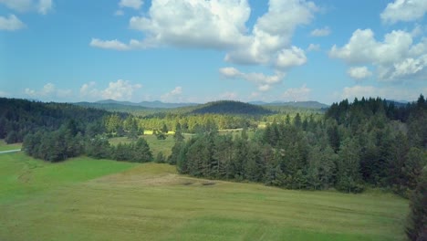 Luftaufnahme-über-Bewaldete-Grüne-Landschaft.-Sockel-Nach-Unten