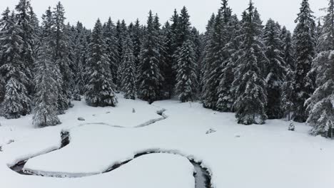 Schmaler-Bach-Durch-Winterwaldlandschaft,-Luftaufnahme-Des-Schneebedeckten-Waldes,-Crno-Jezero,-Schwarzer-See,-Pohorje,-Slowenien