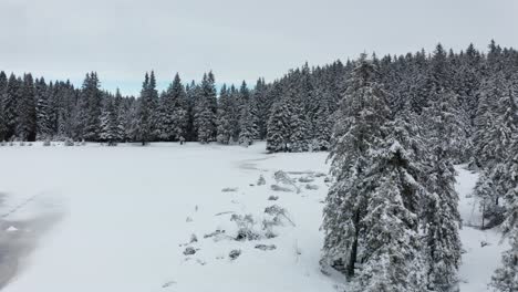 Zugefrorener-See-Im-Winter,-Mit-Frischem-Schnee-Bedeckter-Wald,-Luftaufnahme,-Crno-Jezero,-Schwarzer-See,-Pohorje,-Slowenien