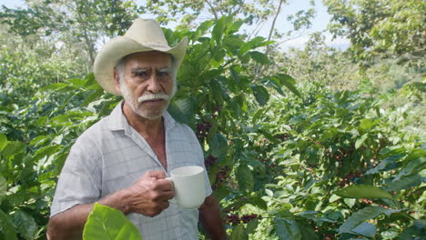 Un-Anciano-Granjero-Bebiendo-Una-Taza-De-Café-En-Medio-De-La-Plantación-De-Café-Real-En-El-Salvador