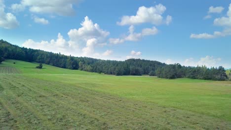 Dense-forests-surround-green-meadows-covering-hills-and-fields-under-a-blue-sky-at-Cerknica,-Slovenia