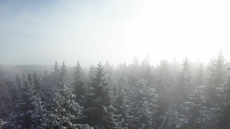 Aerial-view,-mysterious-mountain-landscape-on-a-cloudy-winter-day,-foggy-forest,-winter-landscape