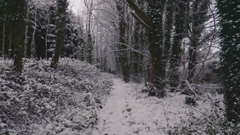 Gehen-Sie-Durch-Dicht-Verschneite-Waldwege,-Die-Im-Winter-An-Bäumen-Mit-Kahlen-Ästen-Vorbeigehen